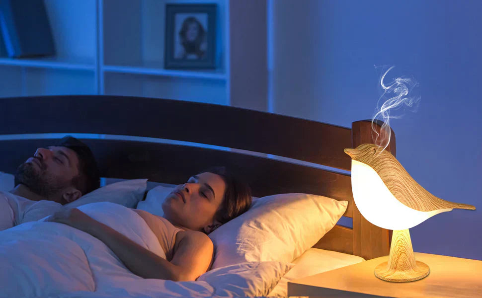 Birdy™ - Lampe de Chevet Diffuseur 3en1 Tactile sans fil