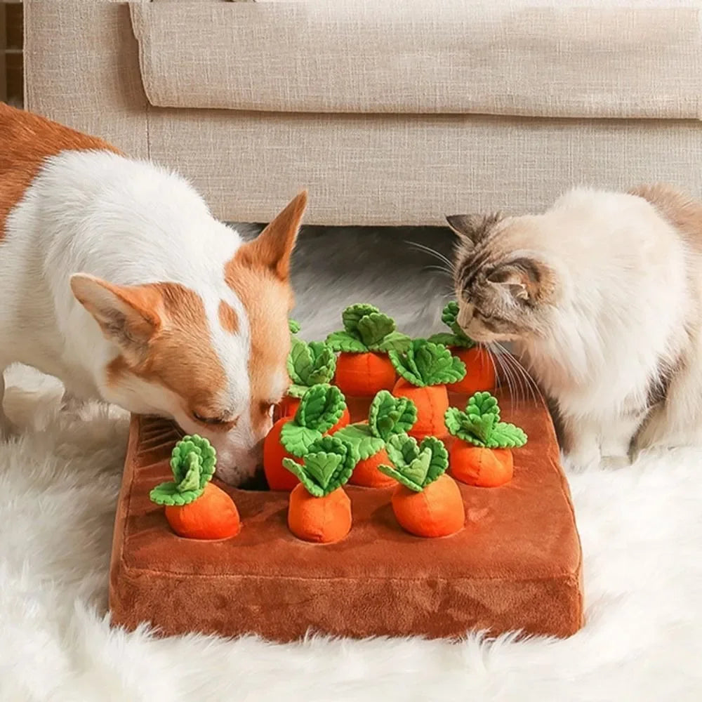 Fruitoy® Jouet Interactif en Peluche pour Animal