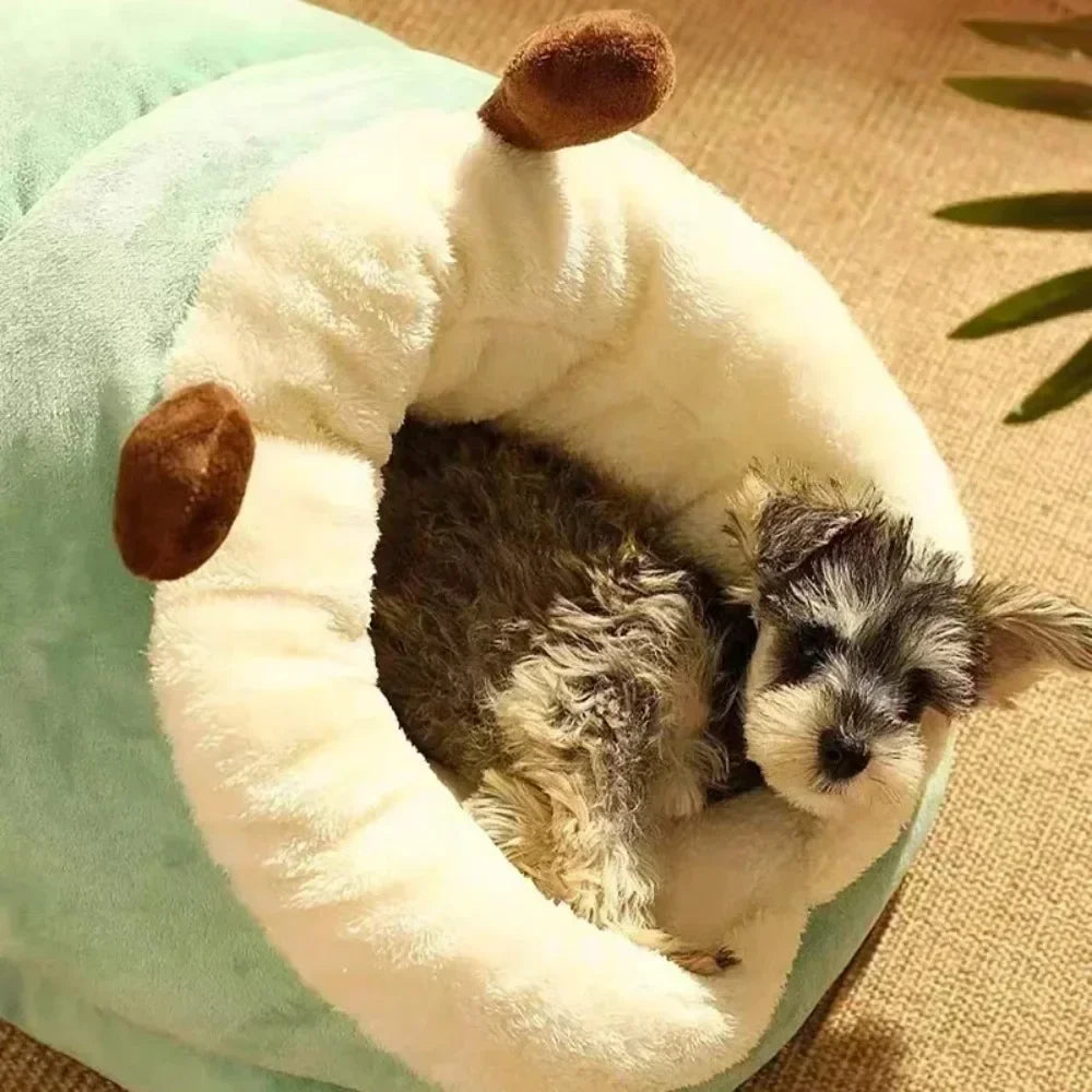 Slieep® Panier Chausson Géant pour Animal