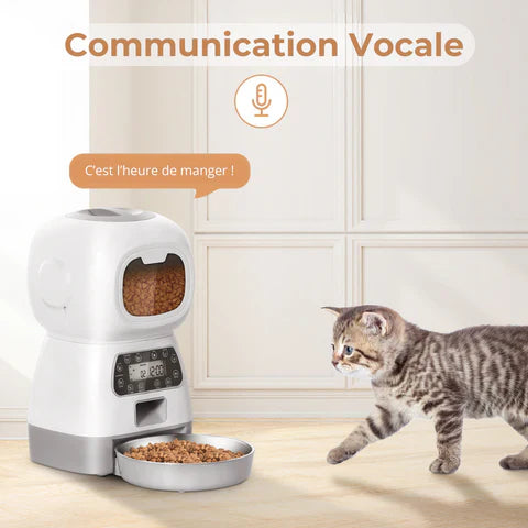 Chauto® Distributeur de Croquettes Automatique Programmable