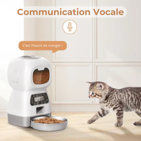 Chauto® Distributeur de Croquettes Automatique Programmable