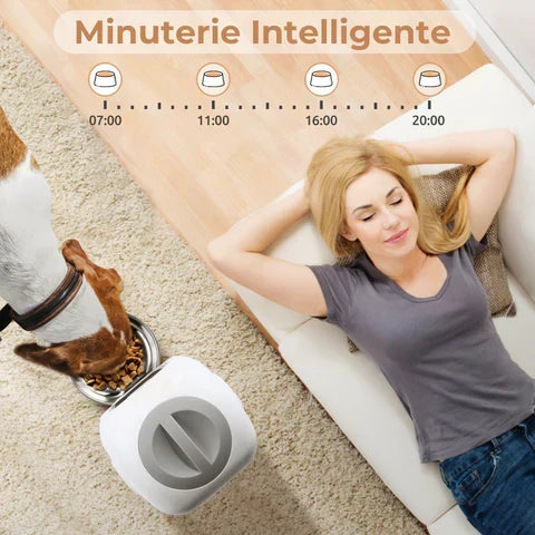Chauto® Distributeur de Croquettes Automatique Programmable