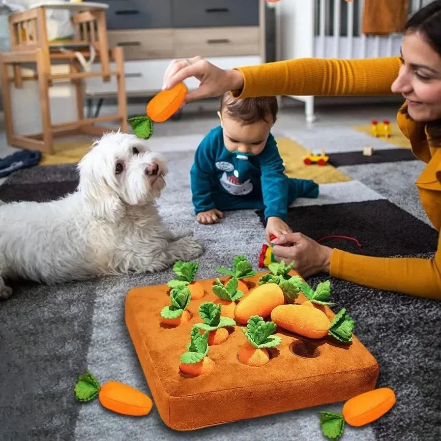 Fruitoy® Jouet Interactif en Peluche pour Animal