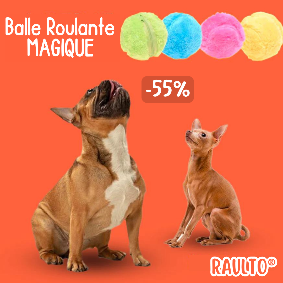 Raulto® Balle de Jeu Magique pour Animal